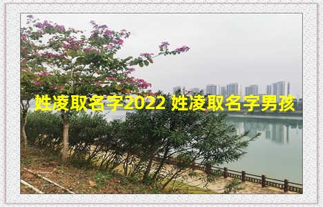 姓凌取名字2022 姓凌取名字男孩